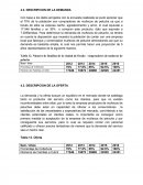 DESCRIPCIÓN DE DEMANDA.