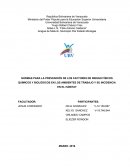 NORMAS PARA LA PREVENCIÓN DE LOS FACTORES DE RIESGO FÍSICOS QUÍMICOS Y BIOLÓGICOS EN LOS AMBIENTES DE TRABAJO Y SU INCIDENCIA EN EL HÁBITAT
