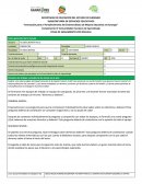 Innovación para el Fortalecimiento del Sistema Básico de Mejora Educativa en Durango”