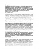 La ingenieria, los tipos