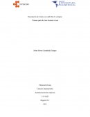 Descripción de Arturo cova del libro la vorágine