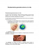 Planteamientos entorno a la vida.