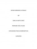 Tema: Las capacidades fisicas