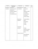Conocer las características de los estudiantes de excelencia académica de las carreras Econoadministrativas.