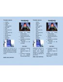 NASDAQ se convirtió en la opción de bolsa de valores para muchas empresas de tecnología, incluidas las empresas de gran alcance/