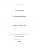 Actividad de implementación RCM