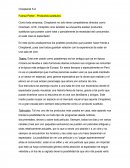 Titulo: Fuerza de Porter