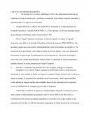 LOS CEO CON MEJOR DESEMPEÑO