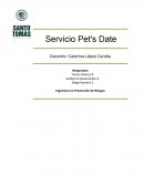 Informe de Empresa Pet's Date.
