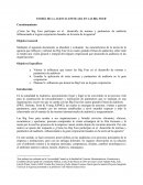 Teoría de la agencia enfocada en las Big Four
