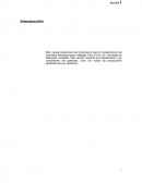 Manual electrbisturi Force FX parte 1