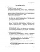 Tipos de Organización . Conceptos de Organización