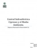 Legislación Ambiental - Central Cipreses.
