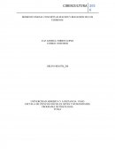 MOMENTO INICIAL CONCEPTUALIZACION Y REFLEXION DE LOS TERMINOS