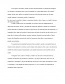 Muebles y objetos para el escalamiento- Criminalistica.