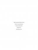 Tema: Finanzas de largo plazo
