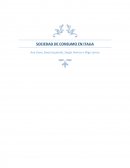 SOCIEDAD DE CONSUMO EN ITALIA