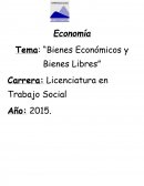 “Bienes Económicos y Bienes Libres”