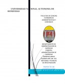 Manejo de las excretas bovinas