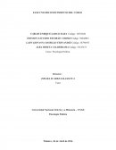 FASE UNO RECONOCIMIENTO DEL CURSO .