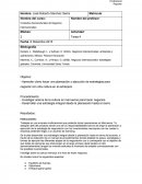 Tarea Contextos de Negocios