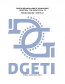 OBJETIVO: QUE EL ALUMNO CONOZCA LA DISTRIBUCION DE LOS DIFERENTES ESPECIES QUE EXISTEN EN UN PERFIL DEL SUELO ASI COMO LA DISTRIBUCION DE LAS MISMAS