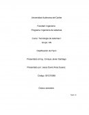 Clasificación de Flynn