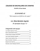 Microempresa de fábrica de yogurt