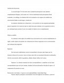 La escuela Ingles Vivl del norte tiene el propósito principal de crear alumnos