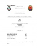 Productos a base de moringa para el cuidado de la piel 4° B