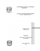 Comentario de texto "Soneto de repente"