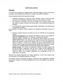 GESTIÓN DEL RIESGO SEGUROS