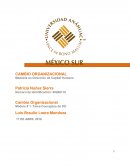 Desarrollo organizacional Conceptos básicos