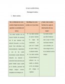Examen de Psicología Evolutiva.