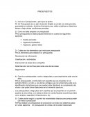 Tema de Negocios: Presupuesto