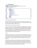 Traduccion biorreactores