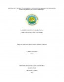 SISTEMA DE PREVENCIÓN DE RIESGO Y DESASTRES PARA LA COMUNIDAD DEL GIMNASIO PERSONALIZADO LOS PILARES