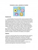 Conociendo mi cuerpo y explorando los 5 sentidos