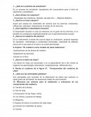 Informes: Guia Profesora