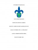 Introduccion a la pedagogia, las ideas más relevantes