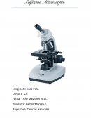 Informe de Microscopio.