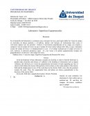 Laboratorio: Superficies Equipotenciales