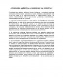 ¿Ergonomía ambiental lo mismo que la cognitiva?