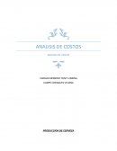 FLUJOGRAMA DE PROCESO DE LAS PRODUCCIONES