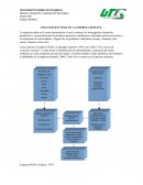 DIAGNOSTICO FODA EN LA EMPRESA BIOPAP´S.