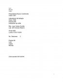 ¿De qué manera se pueden extraer el ADN de algunos tejidos orgánicos?