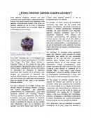 ¿Cómo internet cambia nuestro cerebro?..