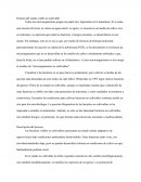 Historia del estado viable no cultivable