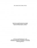 PROGRAMA DE MEDICINA VETERINARIA Y ZOOTECNIA