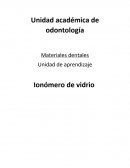 Ionomero de vidrio